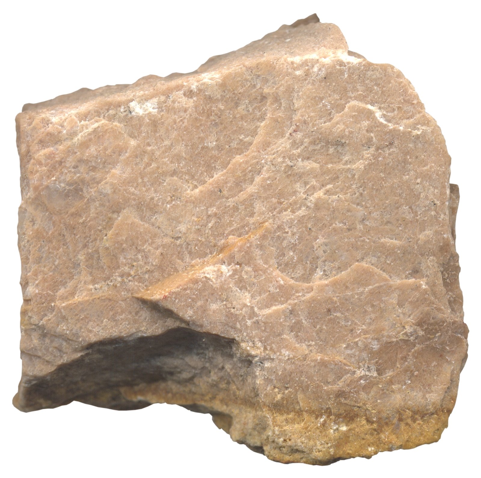 6964__10_a_1Ortosawwwrecursoscnicemec es- bancoimagenes.jpg